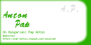 anton pap business card